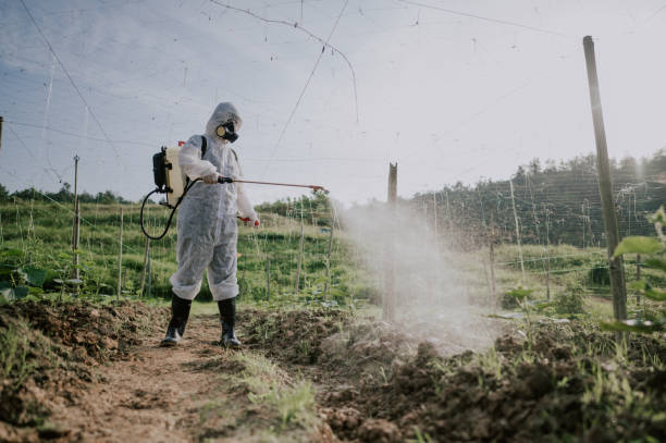 Best Mosquito Control Services  in Homeland, GA