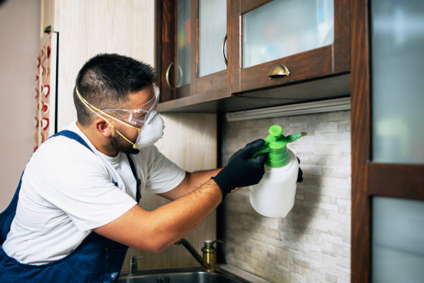 Best Residential Pest Control  in Homeland, GA