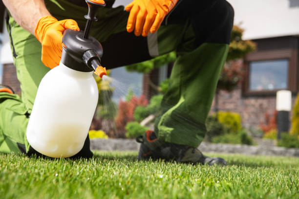 Best Pest Control Near Me in Homeland, GA