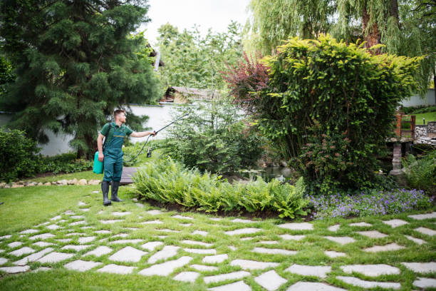 Professional Pest Control in Homeland, GA