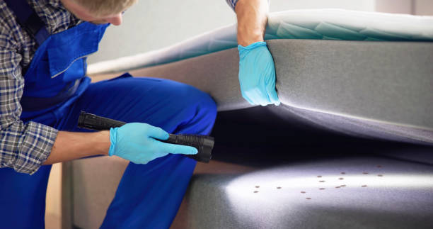 Best Pest Removal Services  in Homeland, GA