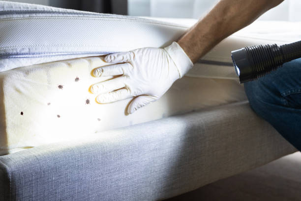 Best Cockroach Control Services  in Homeland, GA