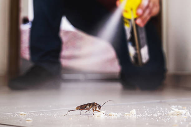 Best Wildlife Control Services  in Homeland, GA